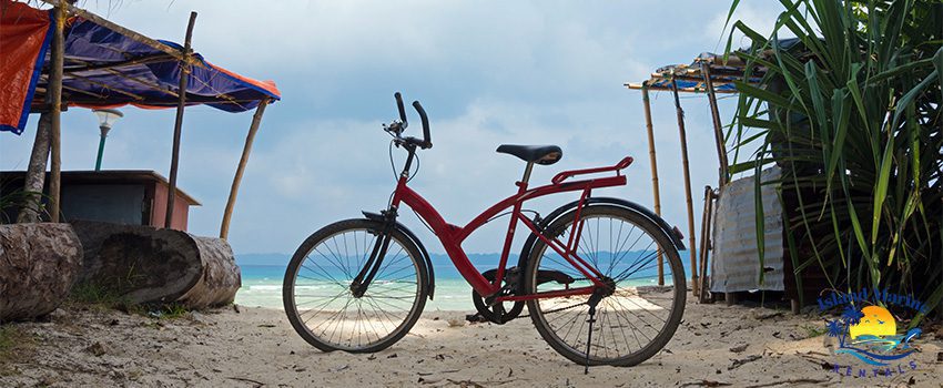 IMR 5 Reasons Why You Should Try Beach Cruiser Bikes This Summer