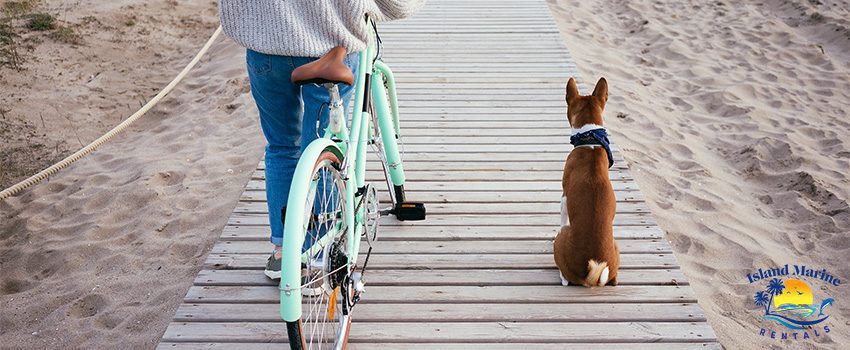 IMR 8 Benefits of Biking With Your Dog